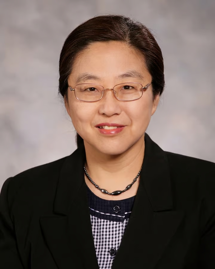 Dr. Lei Ying profile image