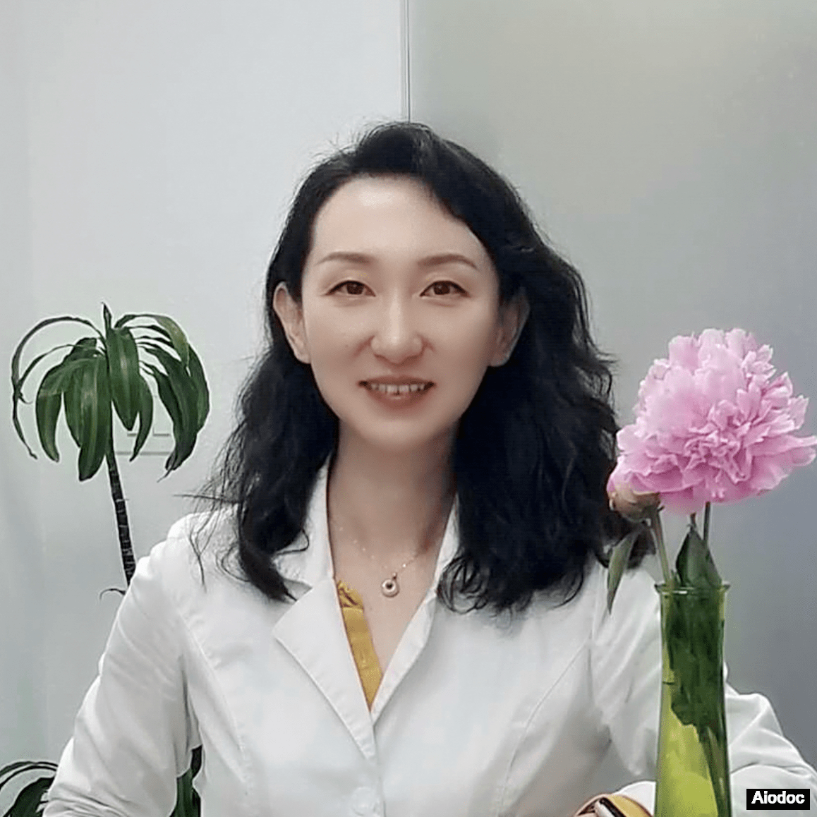 Dr. Huaxin Sun