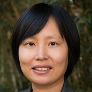 Liying Cai